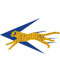 OA Logo